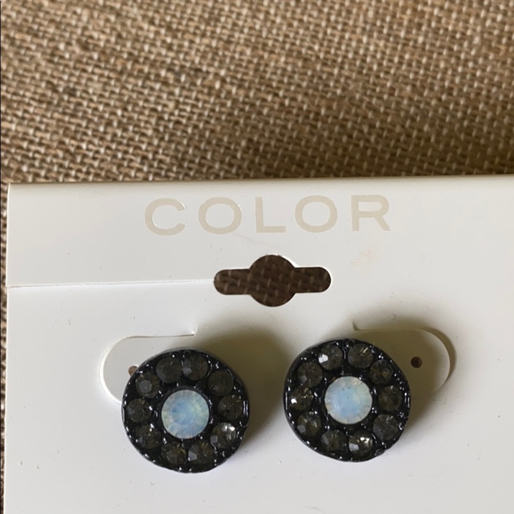 Earrings NWT